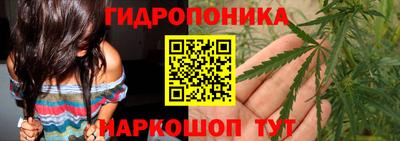 дмт Заволжье