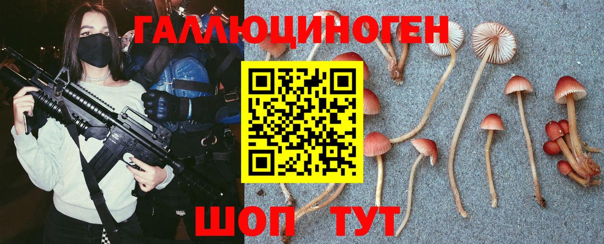 Галлюциногенные грибы мухоморы Лесосибирск