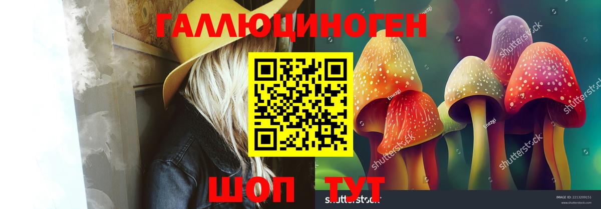 Галлюциногенные грибы Psilocybe  Вход с VPN  Галлюциногенные грибы MAGIC MUSHROOMS  Лесосибирск 